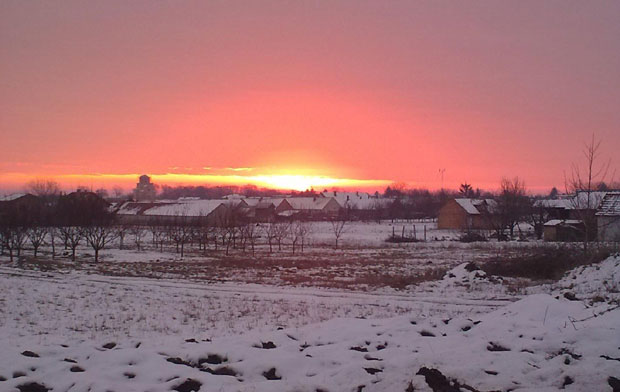 Ловћенац усред Бачке равнице